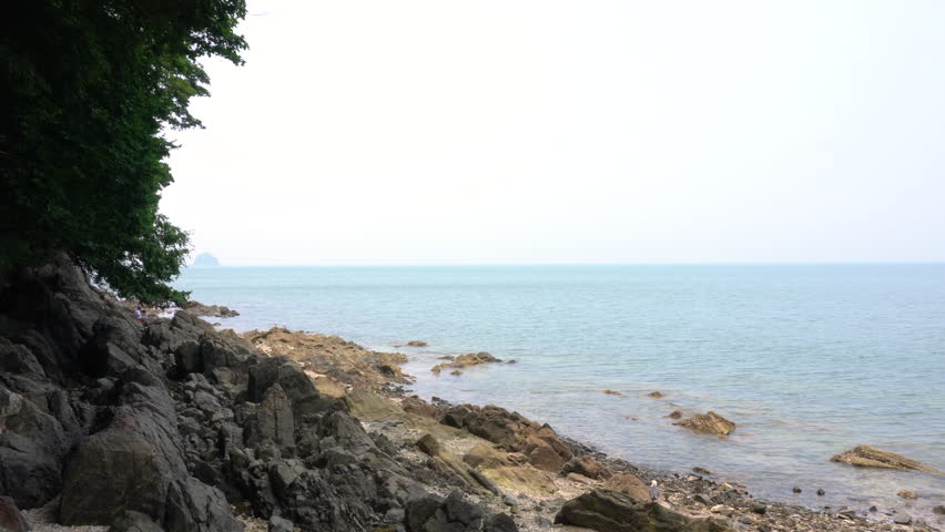 Seascape with rocks and trees