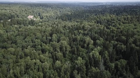 Drone Advancing over Forest Building