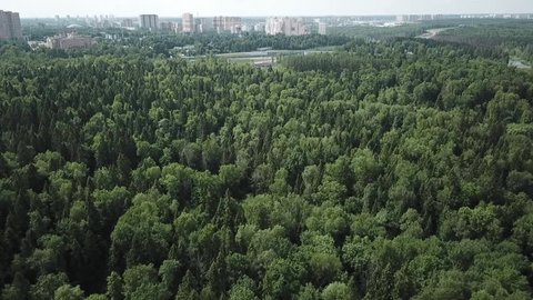 Drone Advancing over Forest Urban Area