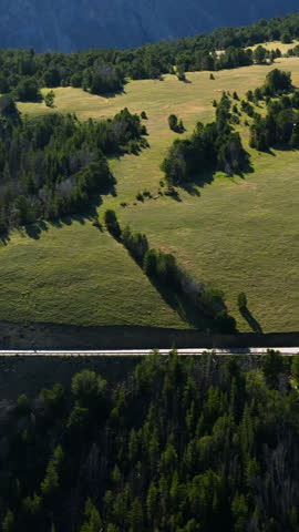 Vertical Screen: Beartooth Highway in Montana USA with vehicles traveling along scenic mountain road surrounded by lush green meadows and pine forests in summer sunlight.