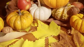 Autumn decor display. Seasonal arrangement with pumpkins and leaves. Autumn themed ornament display with colorful foliage. Showcase of fall decorations featuring pumpkins gourds and bright foliage - Powered by Shutterstock - Get 15% off with code: PIKWIZARD15