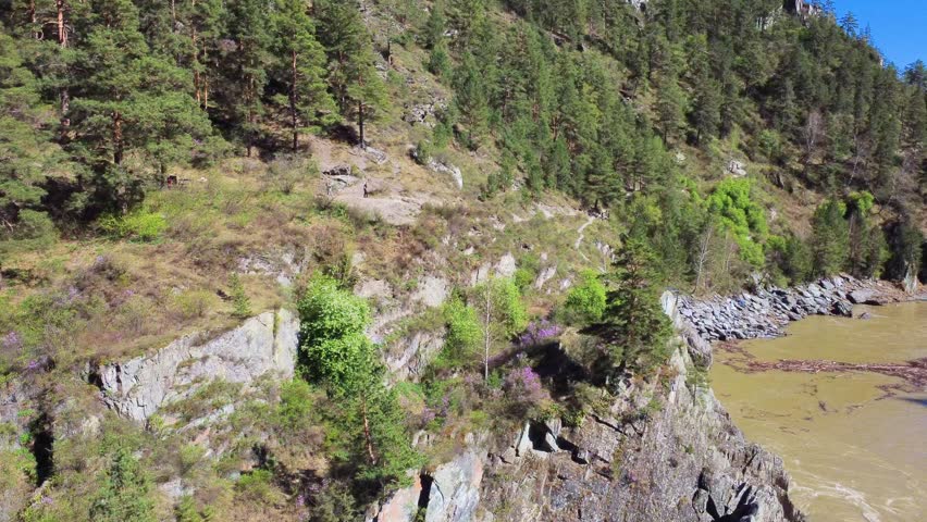 Aerial Shoreline Trail Through Pine Forest, Rocky Bank And Murky River Hiker Exploring Winding Footpath, Geologist Inspecting Boulder Outcrops, Birdwatcher Scanning Treetops Dense Trees, Exposed Rock