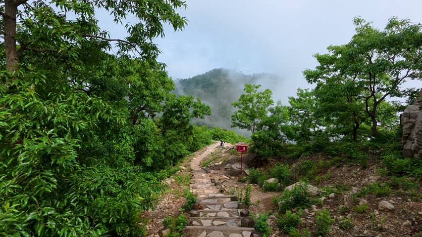 A stone paved hiking trail winds through a dense green forest, with mist clinging to the distant mountain under a pale overcast sky.