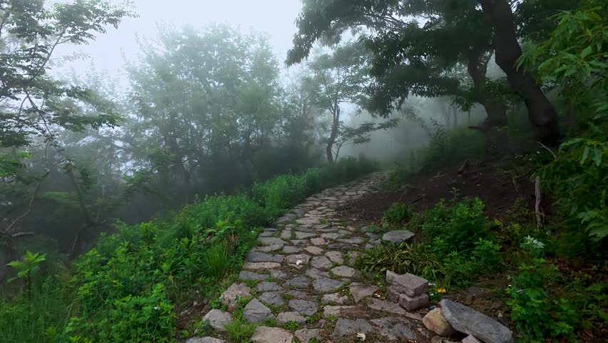 A natural stone paved hiking trail winds through a lush, mist-shrouded mountain forest, shrouded in soft fog that blurs the distant treeline.