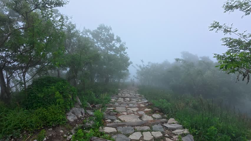 A natural stone paved hiking trail winds through a foggy woodland area, with lush green vegetation on both sides and muted, hazy distant scenery.