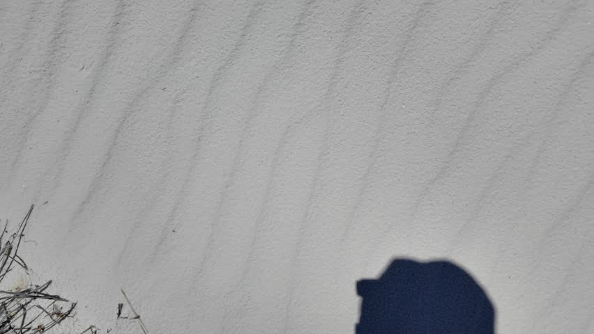 Rippled White Sand Texture with Person Shadow at White Sands National Park - High-angle view showing intricate wind-blown ripples of gypsum sand dunes, featuring a human shadow and sparse desert vegetation in a bright, sunny outdoor setting.