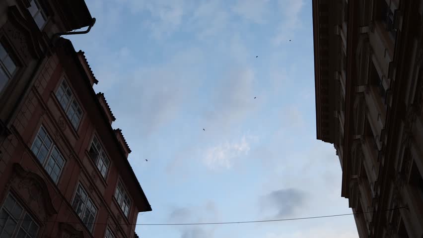 Paratroopers descending between historic European buildings during evening airborne demonstration with dramatic sky and urban military style atmosphere