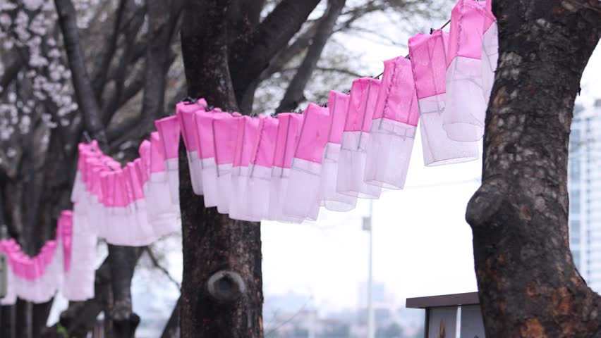 Korean Lantern on the street, Seoul, South Korea