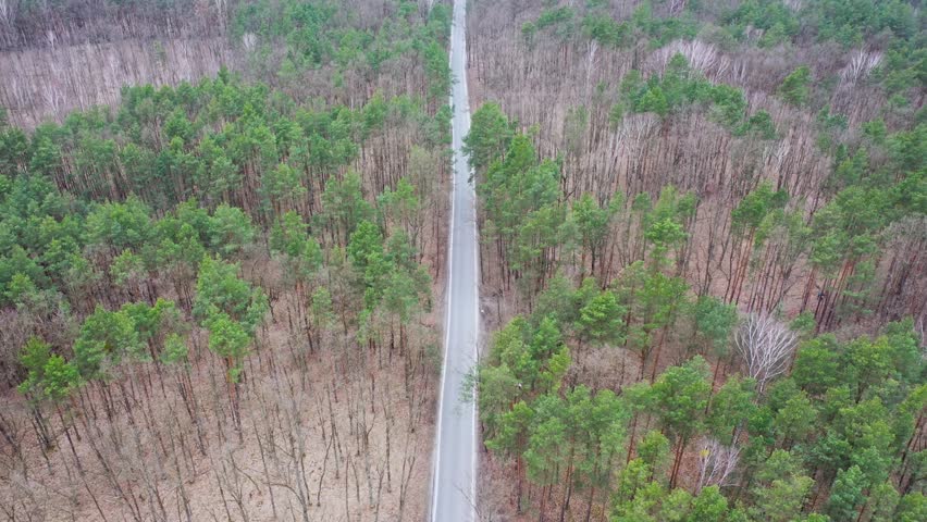 Drone 4k video of road in forest in Bialoleka district on the edge of Warsaw city, Poland
