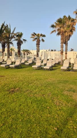 Luxury sunbeds under palm trees on lush green lawn resort