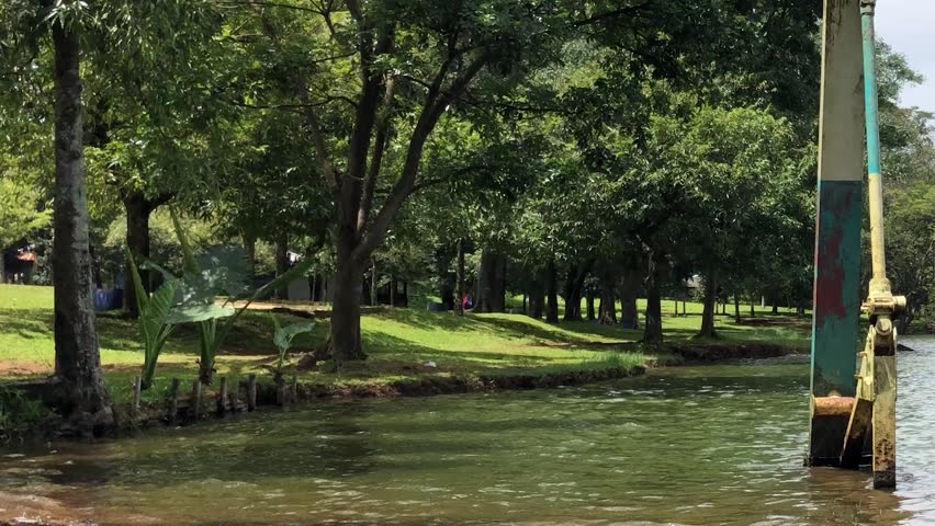 Shaded green park shore with calm lake ripples. Rusty steel pillar beside tropical waterfront scenery. Urban nature retreat featuring trees grass and gentle waves