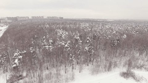 Winter Forest Aerial Drone View Near City