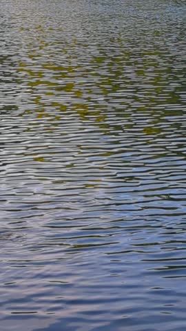 Ripples on the lake at Warriors Path State Park in Kingsport, TN. 