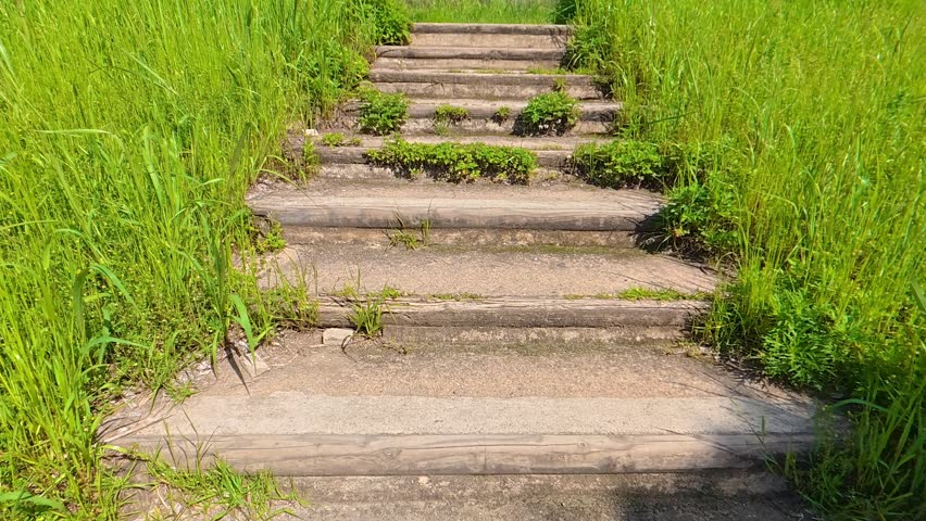 POV shot of walking up stone stairs overgrown with wild weeds on both sides