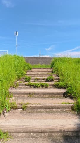 POV shot of walking up stone stairs overgrown with wild weeds on both sides