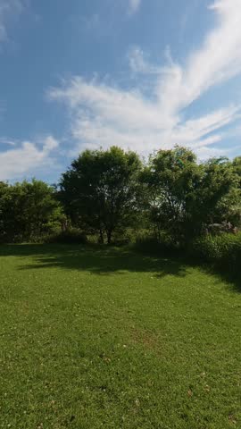POV shot of moving forward through a vibrant green lawn and lush trees under a blue sky