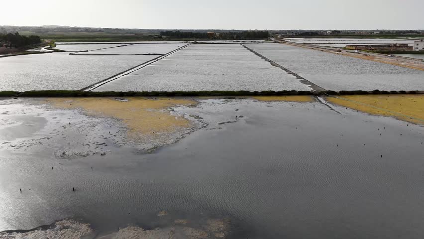 Aerial view of rectangular salt pans and access roads at Salina Galia Canino near Trapani, Sicily, showing water basins and coastal wetlands.