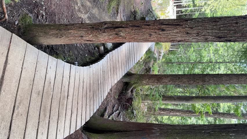 POV walking on the Train Wreck Hiking Trail approaching a suspension bridge that crosses over the Cheakamus River in British Columbia, Canada.