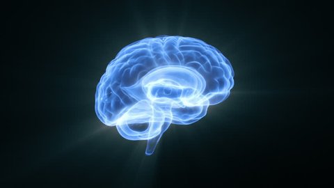Human Brain HD 1080 seamless loop