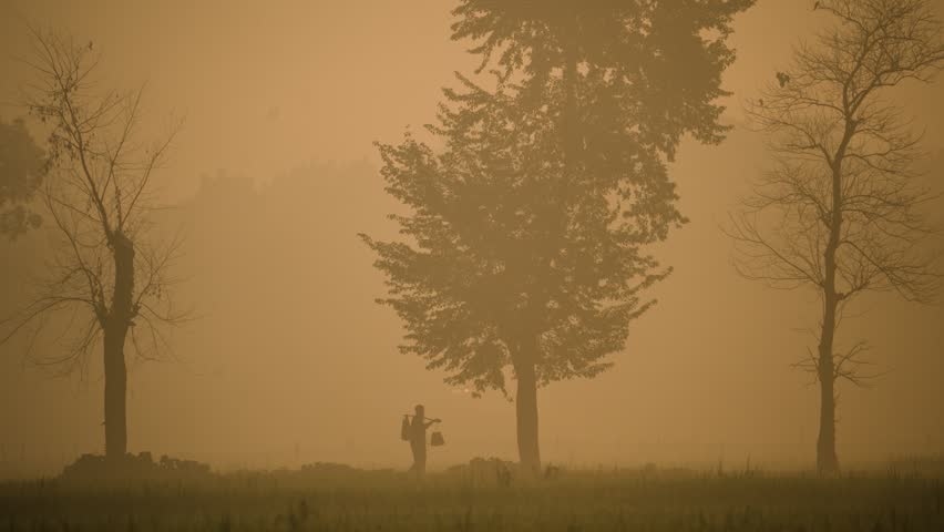 View of a silhouetted person carrying a yoke through a misty rural field with trees at dawn in Bogura, Rajshahi Division, Bangladesh.