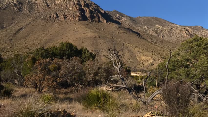 Rock Hike Mountains Within Guadalupe Mountains National Park In Far West Texas. Tilt-up Shot