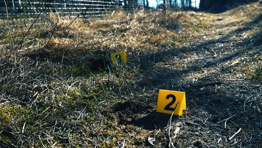 Yellow forensic markers with numbers placed on the ground next to a muddy road, marking evidence at an outdoor crime scene