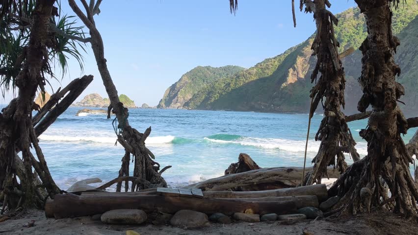 Scenic coastal view framed by unique tree branches. Blue ocean waves gently crashing against the shore with majestic rocky hills and small islands under a clear sunny sky.