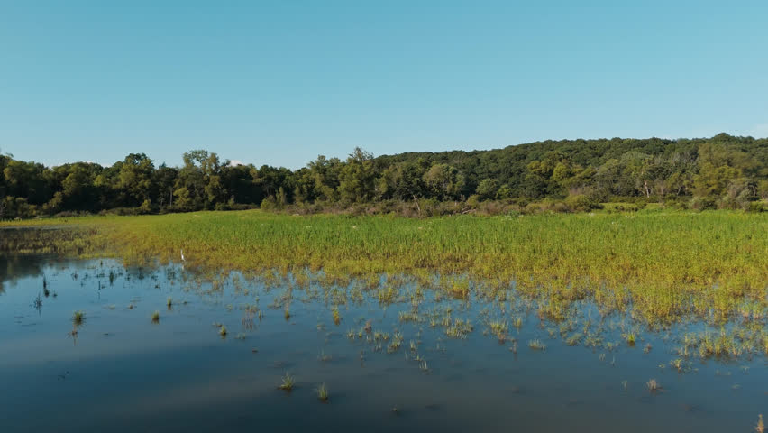 Reflective wetland waters with white egret birds at Bush Creek Bay Oklahoma under blue sky, aerial