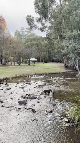 Rocky creek between parks surrounded by trees