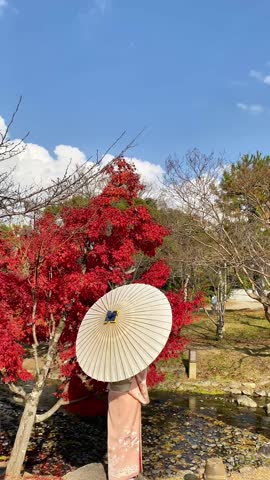 A vertical, full-length shot from behind capturing a woman dressed in an elegant, traditional pink Japanese kimono with intricate floral embroidery at the hem. She is standing next to a shallow rocky stream or pond in a garden, holding a large, open white wagasa (traditional oil-paper umbrella) over her shoulder. Next to her, a vibrant Japanese maple tree (Momiji) displays brilliant fiery red autumn foliage. The scene is illuminated by bright, clear natural daylight under a blue sky with soft white clouds, evoking a classic and peaceful seasonal atmosphere