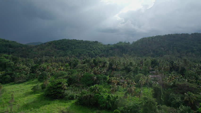 Dramatic storm clouds and sunlight over lush tropical hills and a palm-filled valley in Sri Lanka. Scenic green landscape, monsoon atmosphere, nature travel background. Drone view, Rain.
