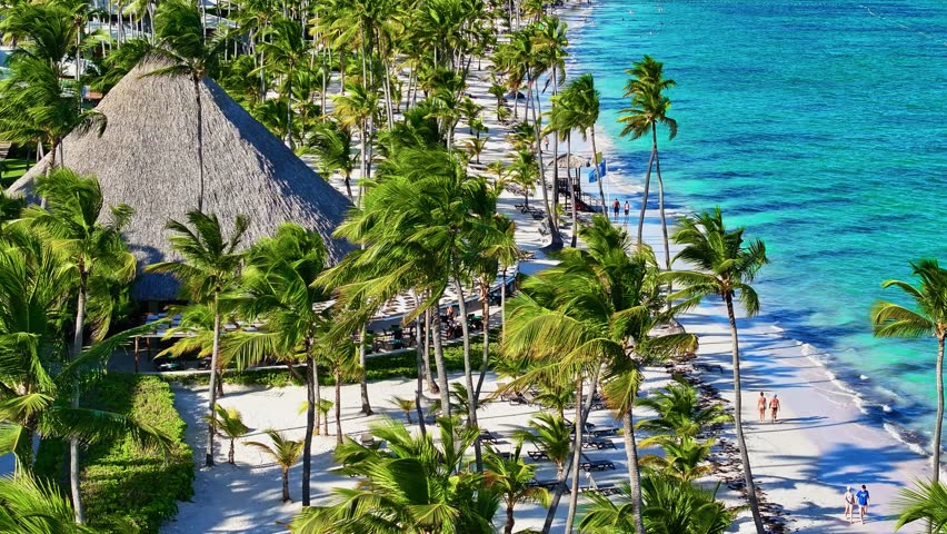 An aerial view of people enjoying themselves on a sandy beach on the Caribbean coast. Luxury summer holidays and holiday concept. Tropical palm beach with white sand. Palm fronds sway in the breeze.