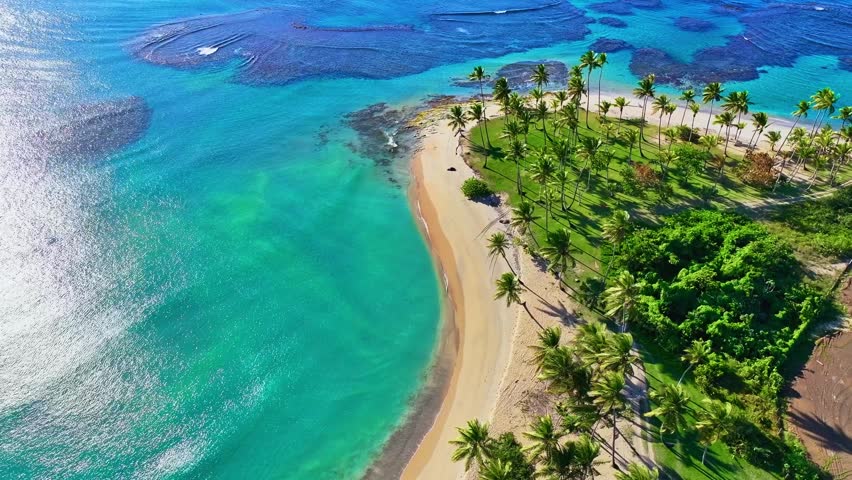 Drone view of a paradise palm beach. The sun reflects on the sea surface. A journey to a tropical paradise. Summer landscape of Dominican Republic wildlife on a sunny day, aerial view. Coral shoals.
