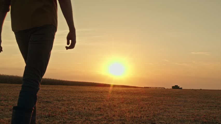 Couple walking through field at dusk, agricultural lifestyle.