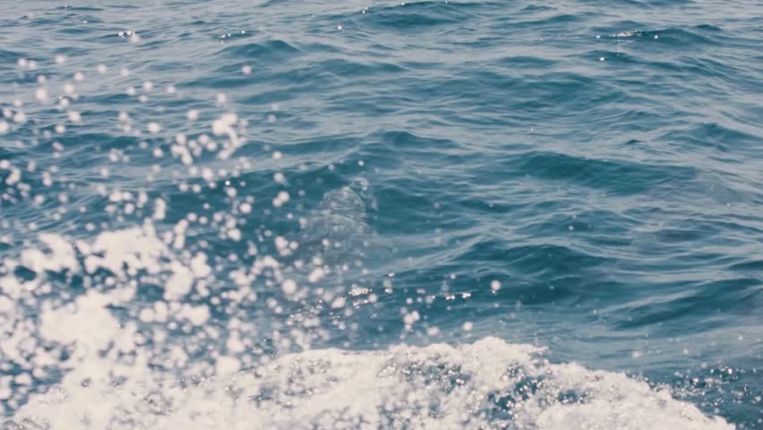 A single dolphin leaps playfully out of the blue ocean water, creating a big splash and spray