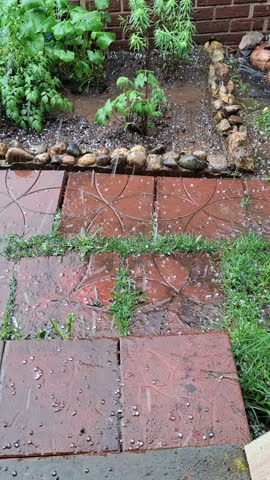 Heavy hail and rain falling on wet brick garden path with green plants and stone border during intense summer thunderstorm outdoor.