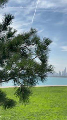 4K vertical video of a Chicago park overlooking Lake Michigan, showing blue water and the downtown skyline with skyscrapers in the background