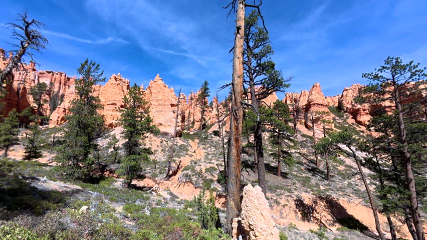 Personal perspective walking downhill on the sandy trail of the navajo loop in bryce canyon national park, utah, surrounded by stunning red rock hoodoos, pine trees, and a clear blue sky