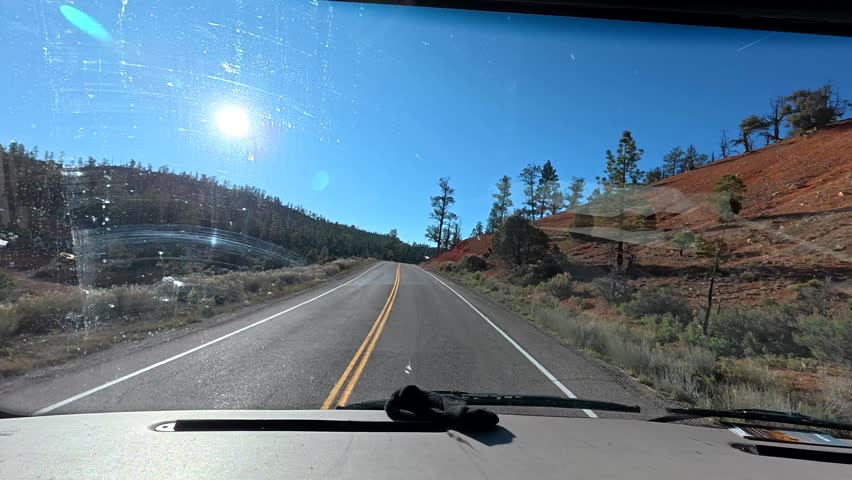 Driver