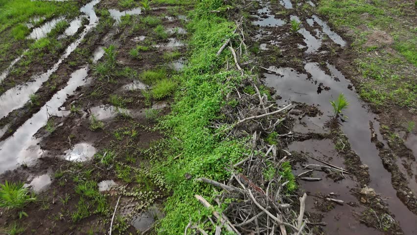 A muddy plain with water-filled ruts and mounds of green grass after the rain.