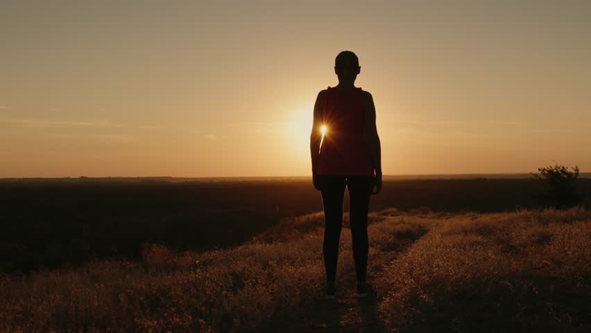Silhouette on hill at sunset, peaceful nature, expansive view.