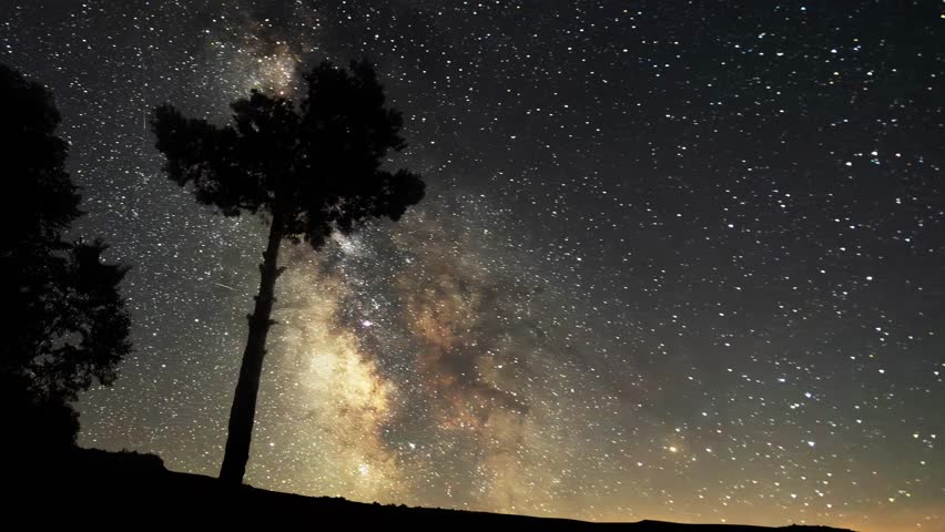 Night scene, trees silhouette under bright milky way galaxy. Space,starry sky scene time lapse.