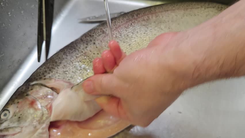 In a kitchen, a person cleans a fish by removing scales and cutting the belly open. The process shows how to handle fish for cooking.