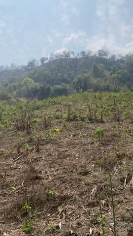 Trekking on dirt path, barren hillside, distant smoke.