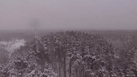 Aerial Flight over Snowy Winter Forest in Snowfall