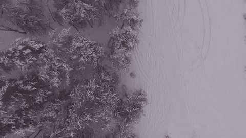 Aerial Drone Descending Along Snowy Forest Edge in Snowfall
