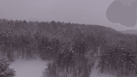 Smooth Descent Along Snowy Forest Edge in Snowfall