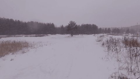 Lone Tree in Snowy Field During Snowfall