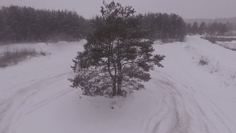 Snowy Field with Lone Tree in Snowfall