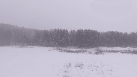 Drone Flight Above Snowy Forest Canopy